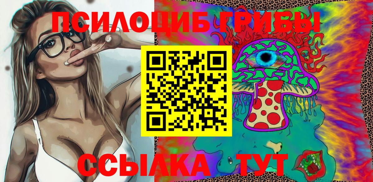 Псилоцибиновые грибы мицелий Чернушка