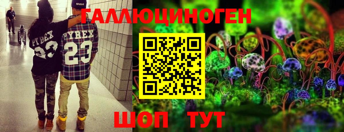 Чернушка  Псилоцибиновые грибы мухоморы  Вход с VPN 